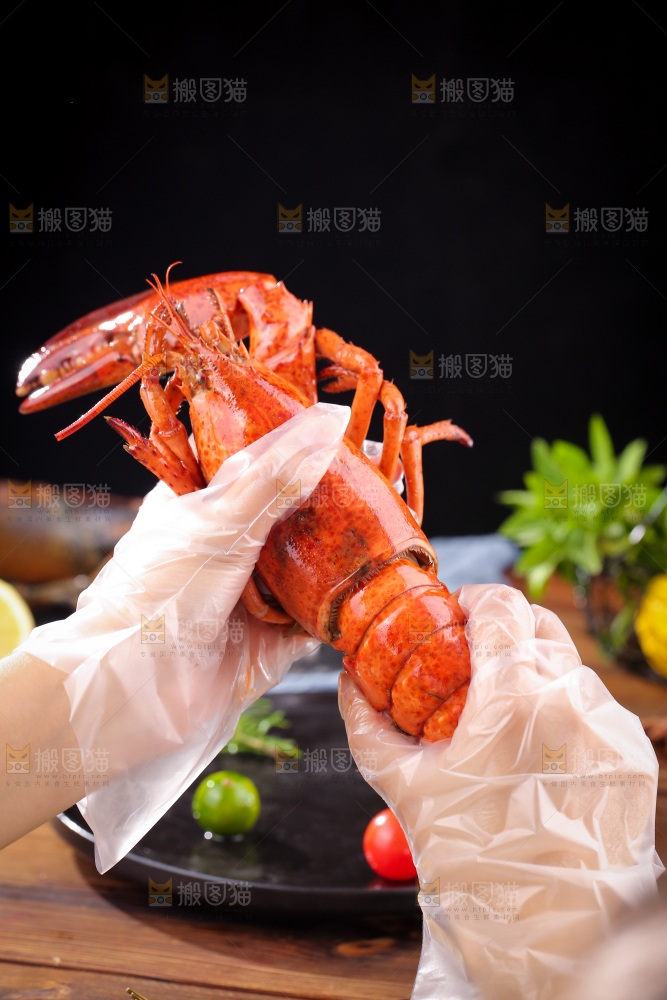 手上拿着澳洲龙虾
