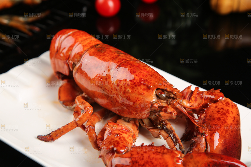 黑底上放着一盘澳洲龙虾