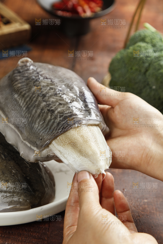 手上拿着北海墨鱼