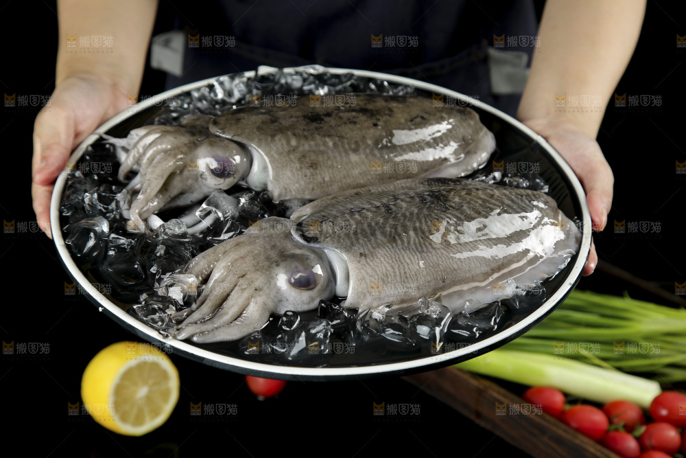 手上端着一盘北海墨鱼