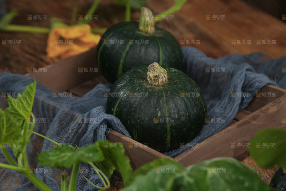 木底上放着贝贝南瓜