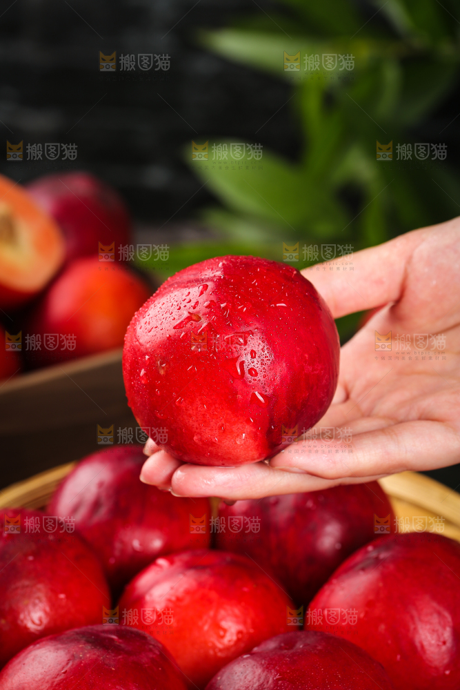 手上拿着红肉油桃