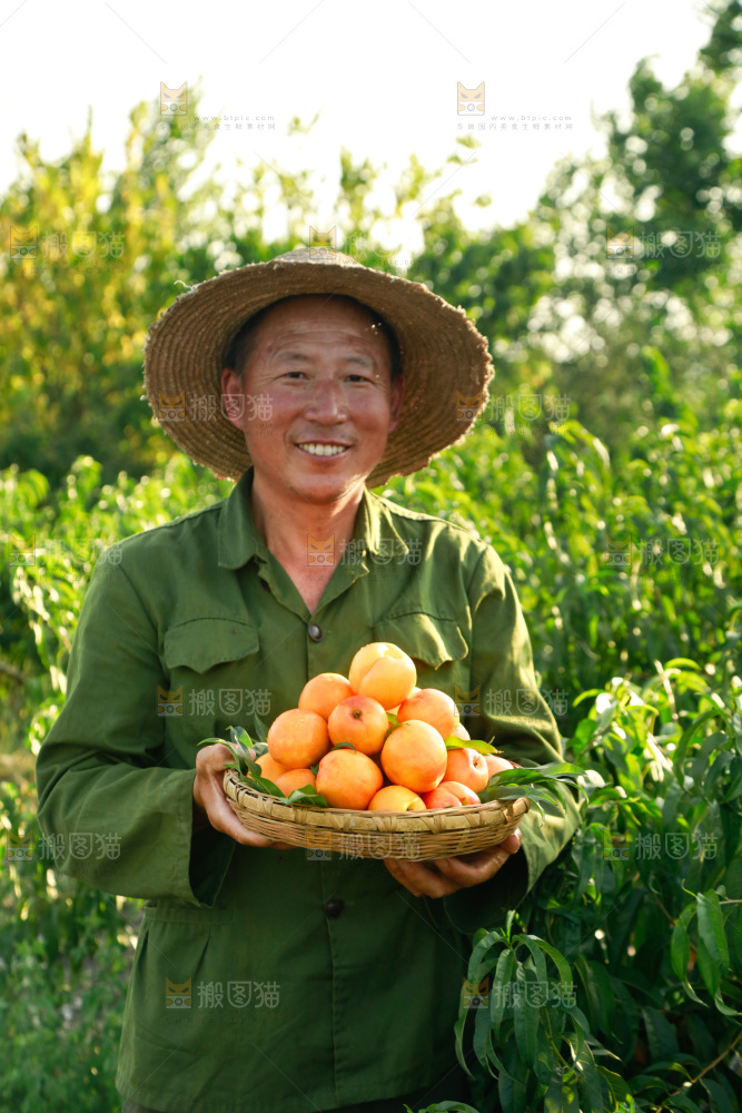 农民手上端着一筐黄油桃