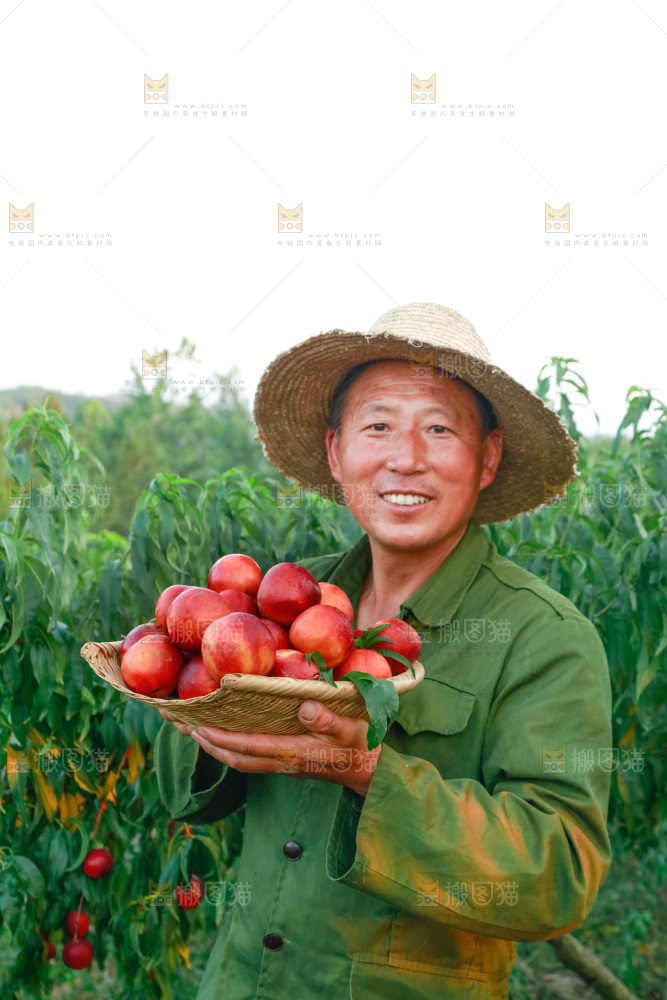 农民手上抱着一筐红油桃