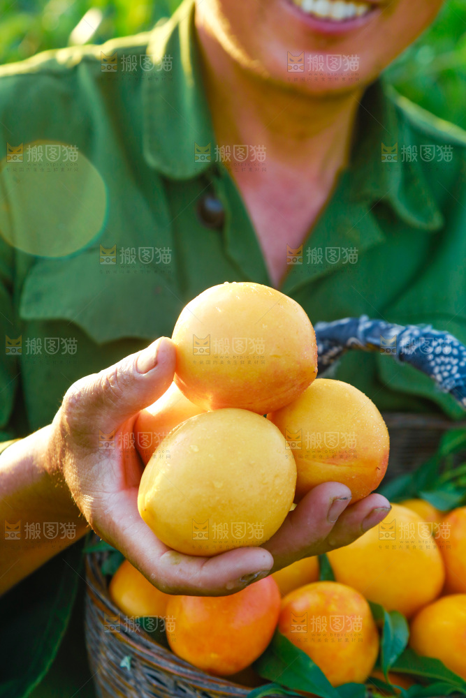 手上拿着黄油桃