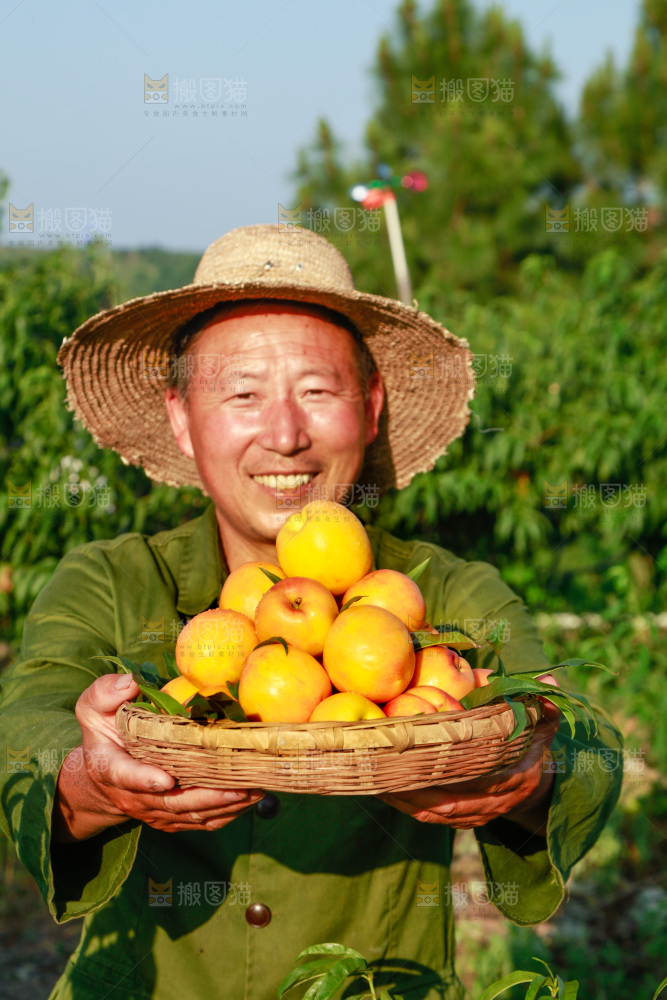 农民手上端着一筐黄油桃