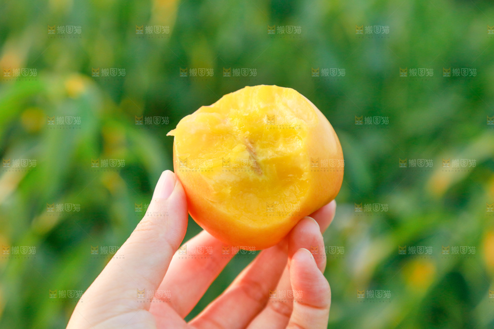 手上拿着黄油桃