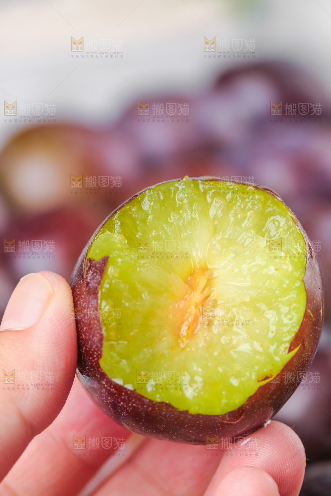 手上拿着凤凰李