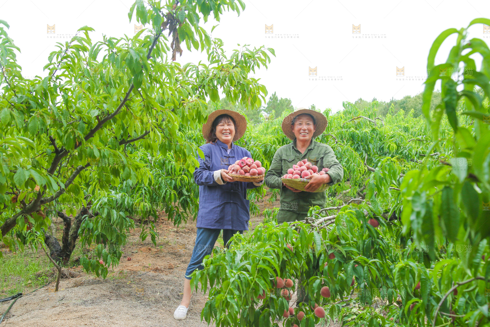 农民手上抱着一篮血桃