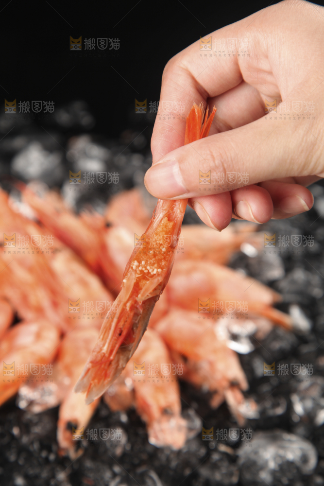 手上拿着北极甜虾