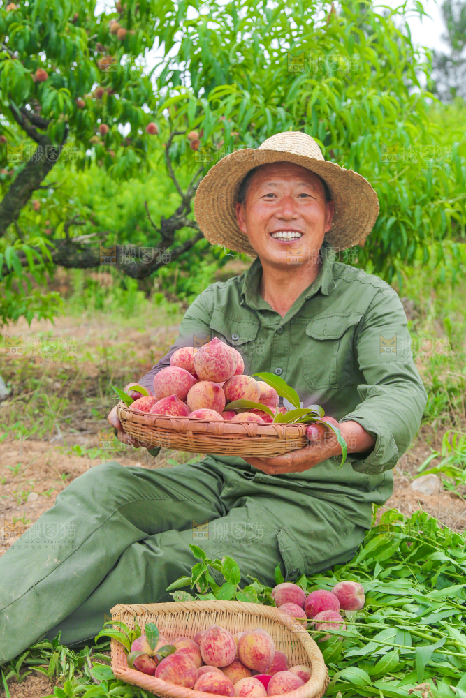 农民手上端着一篮胭脂红