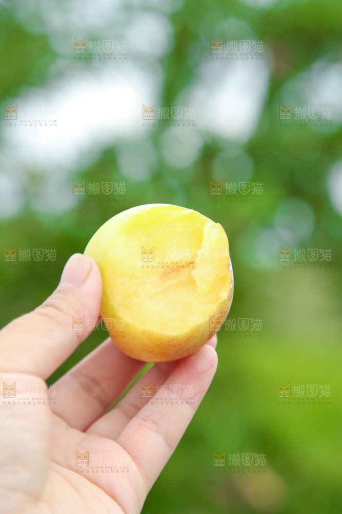 手上拿着李子