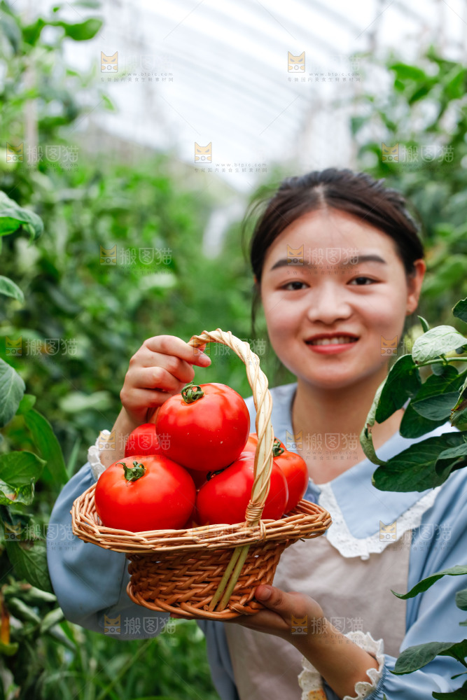 女孩手上拿着沙瓤西红柿