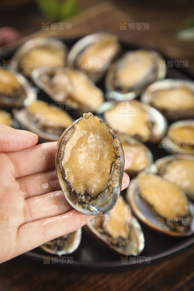 手上拿着鲍鱼