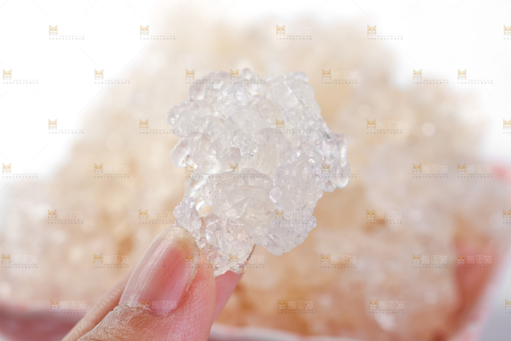 手上拿着雪燕