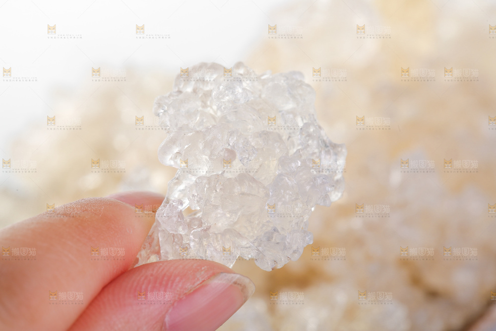 手上拿着雪燕