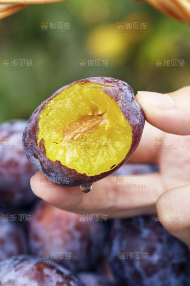 手上拿着新鲜西梅果肉