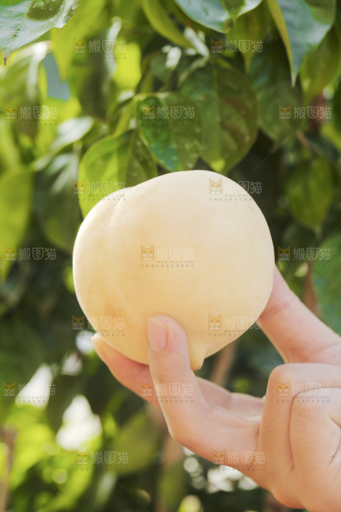 手上拿着奶油大白桃