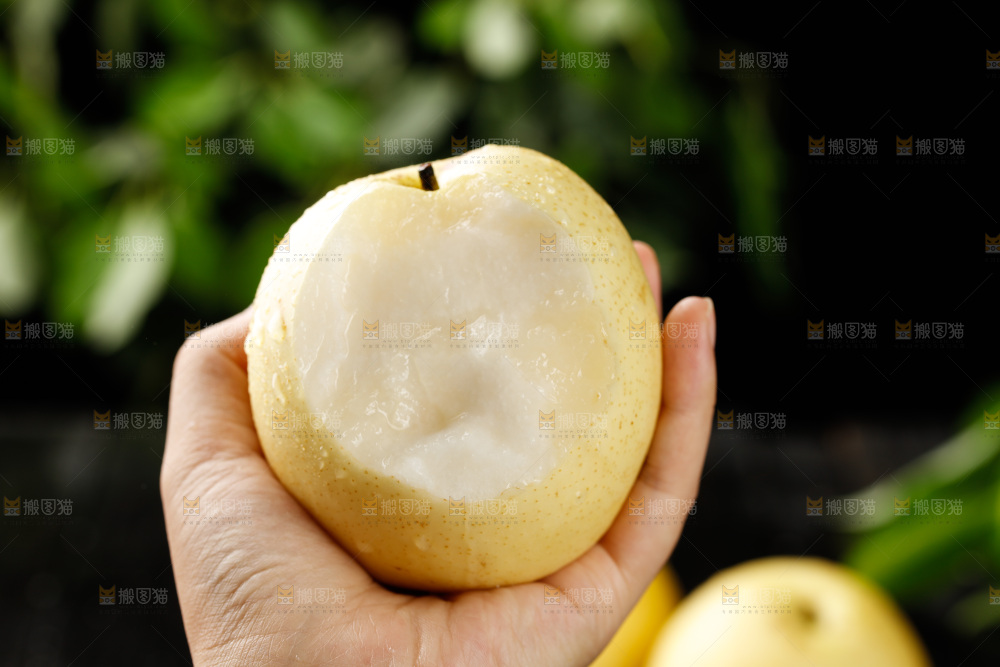 手里捧着皇冠梨