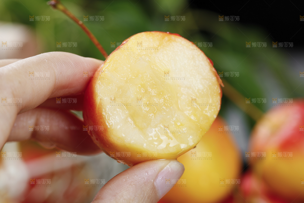 手上拿着新鲜海棠果