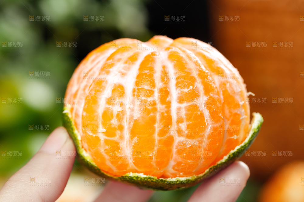 手里拿着剥皮的蜜橘