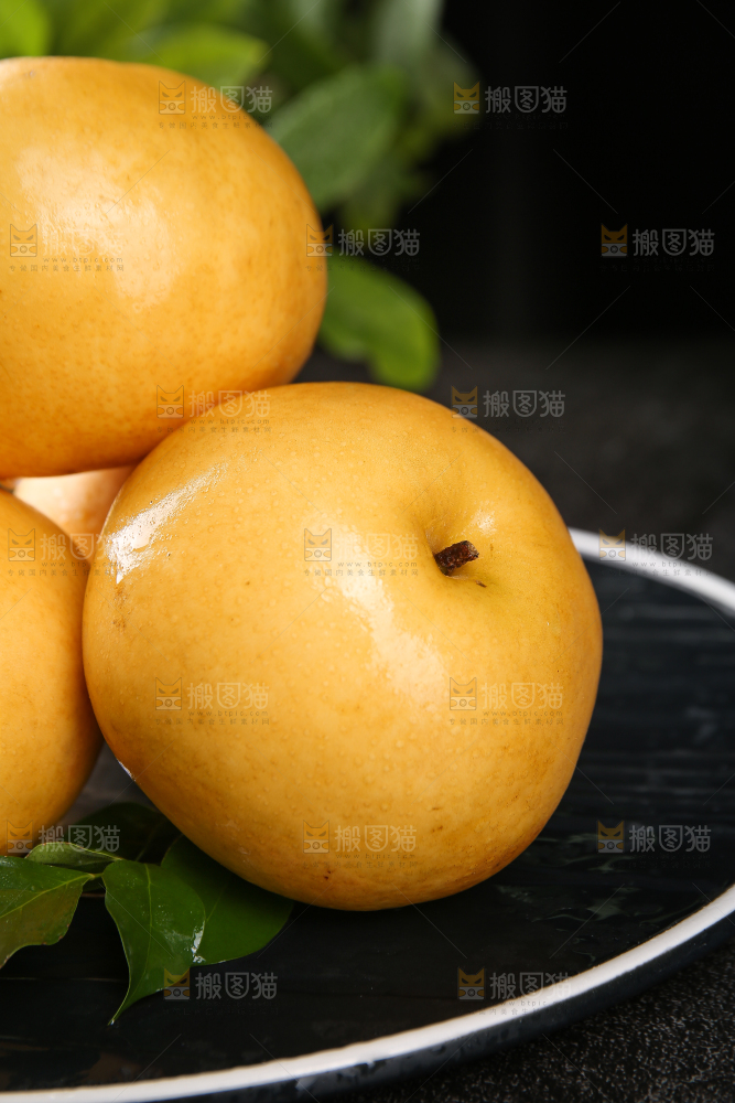 黑底上的秋月梨