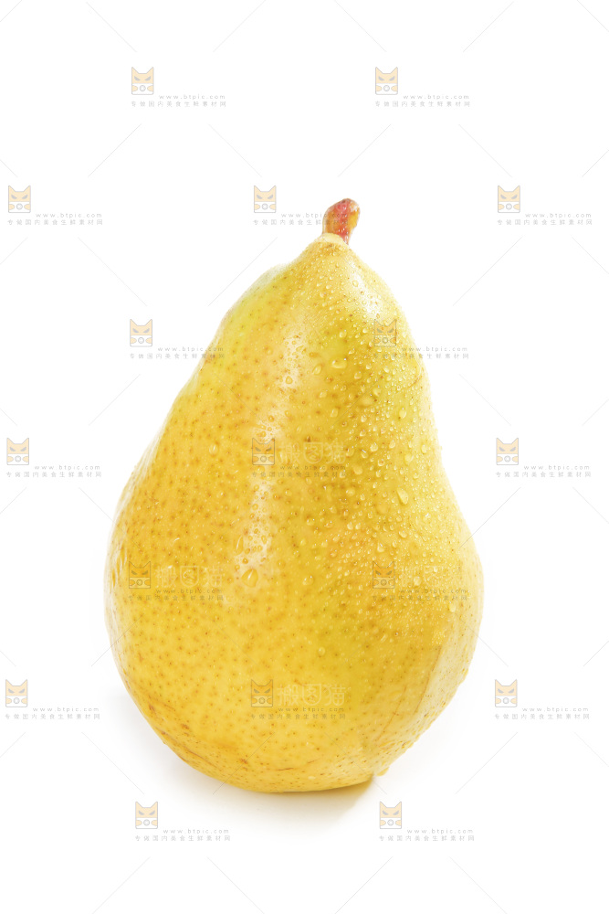 白底上的烟台太婆梨