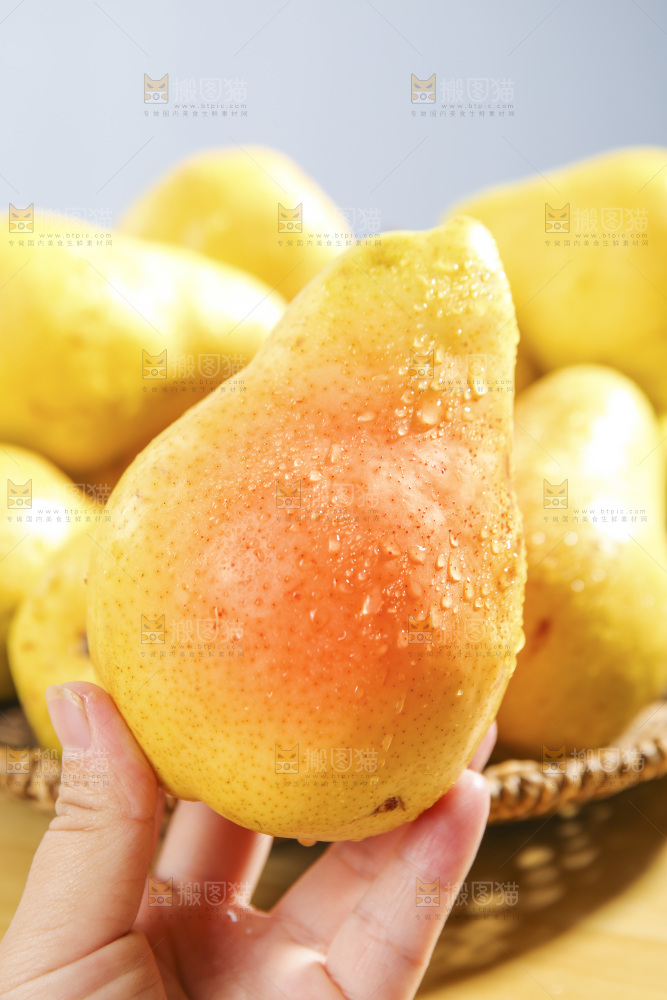 手里拿着太婆梨