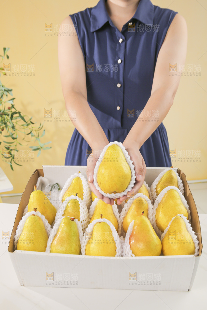 手里拿着太婆梨