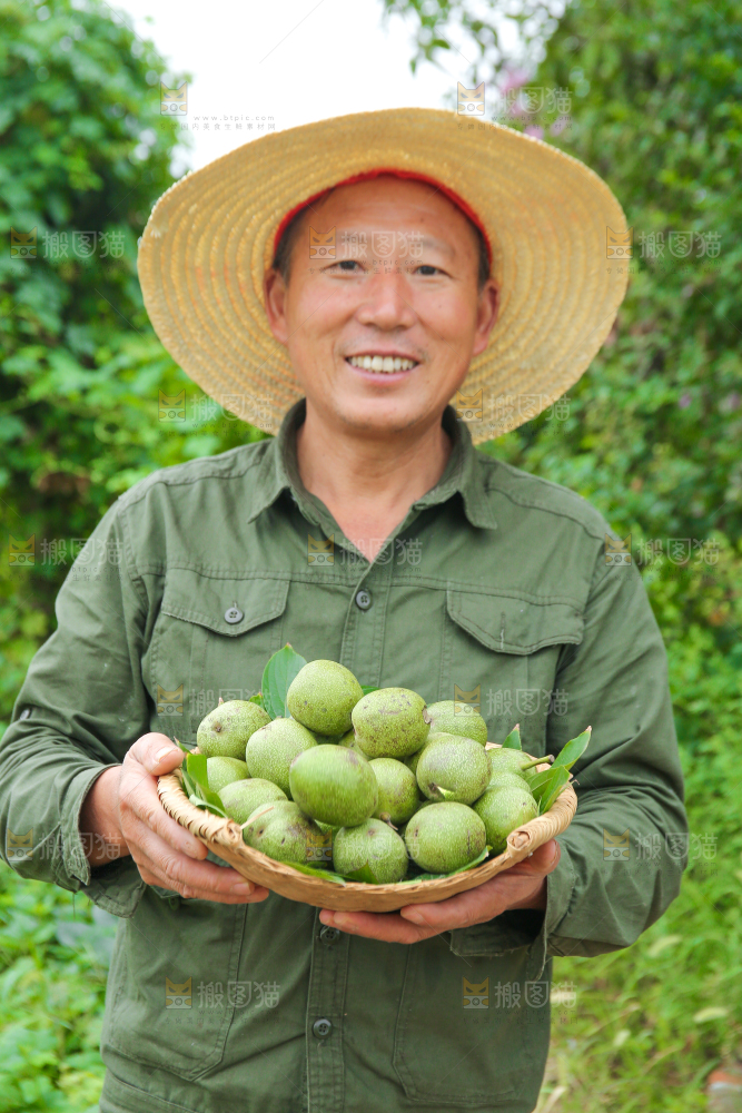 农民手里拿着一篮核桃