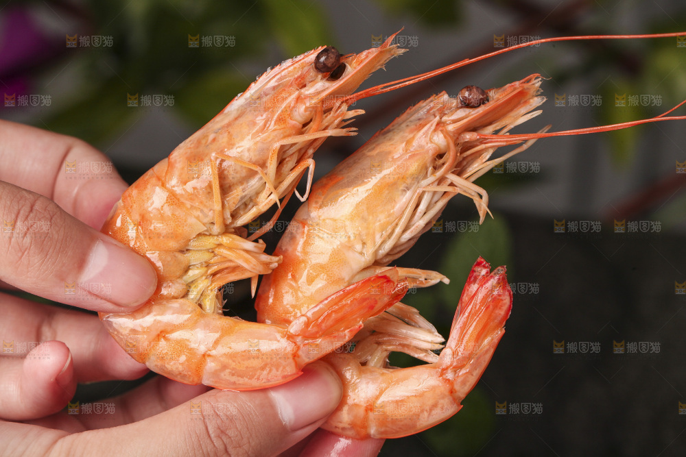 手拿着白灼虾
