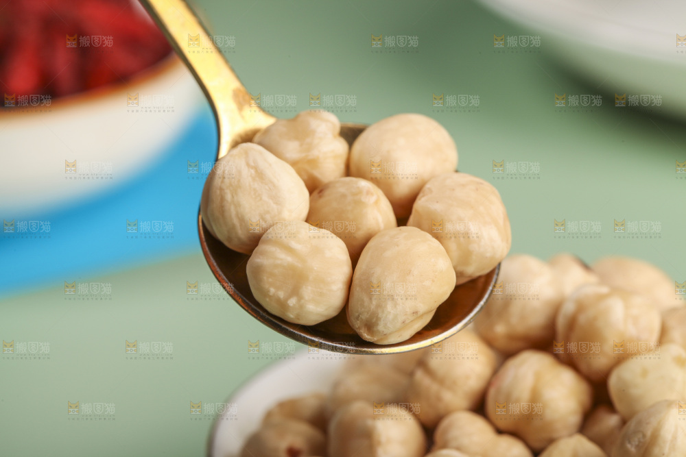 勺子里的东北榛子仁