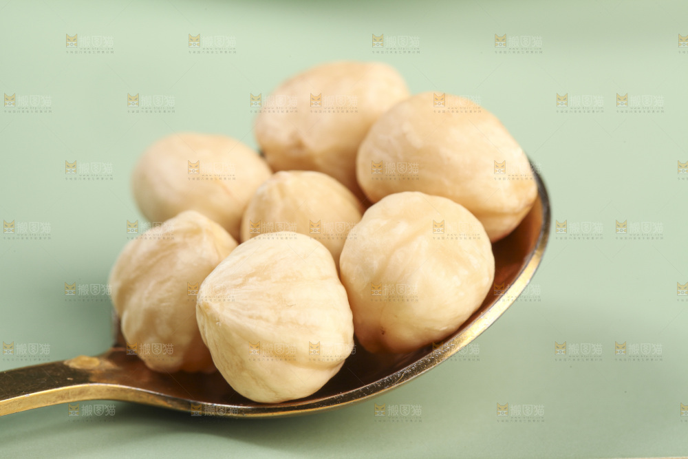 勺子里的东北榛子仁