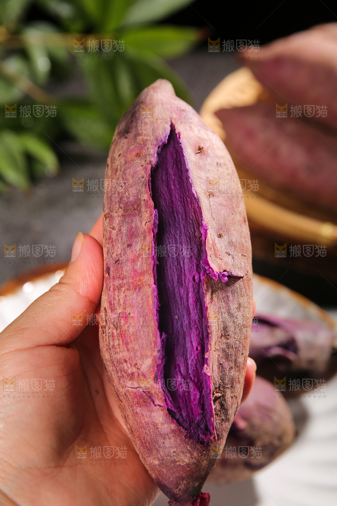 手上拿着板栗紫薯