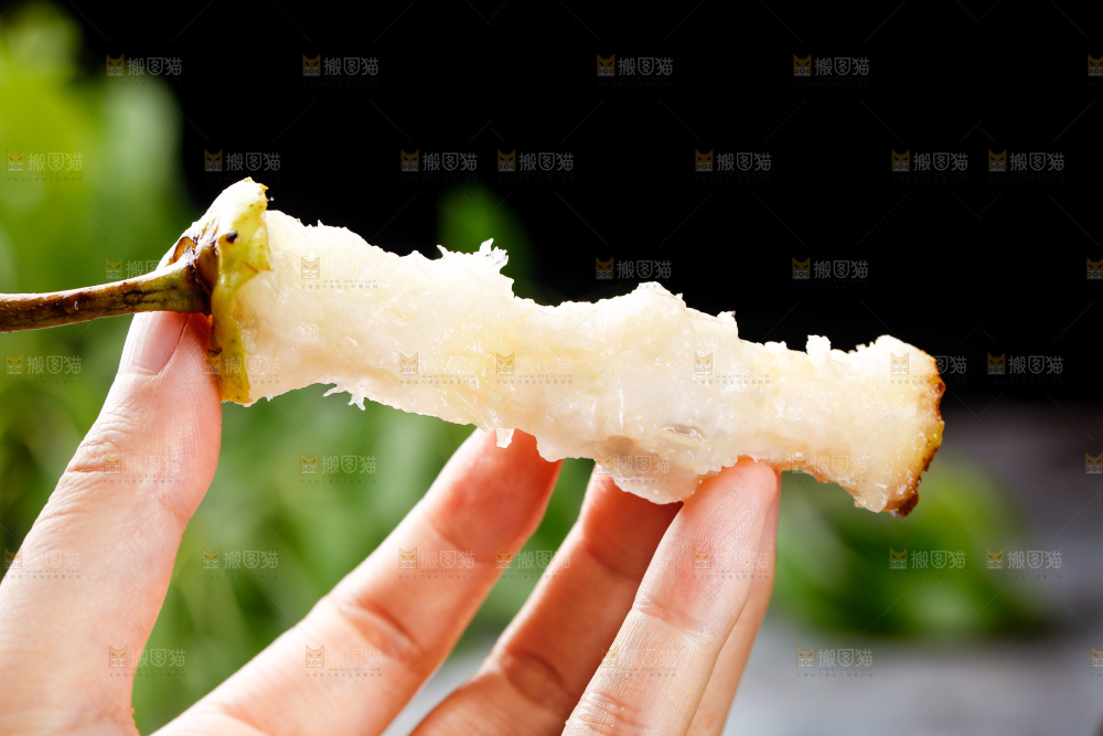 手里拿着太婆梨果核
