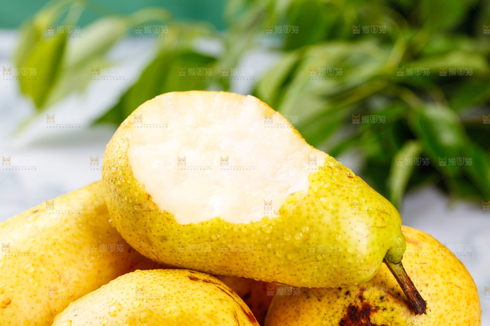 太婆梨