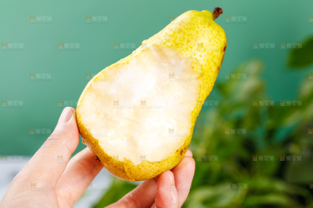 手里拿着新鲜太婆梨
