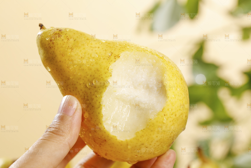 手里拿着新鲜太婆梨