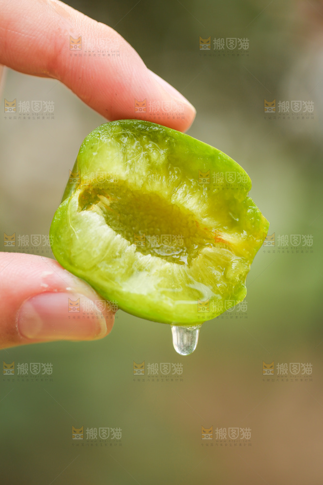手里拿着青脆李果肉