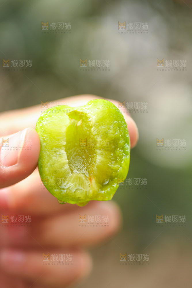 手里拿着青脆李果肉