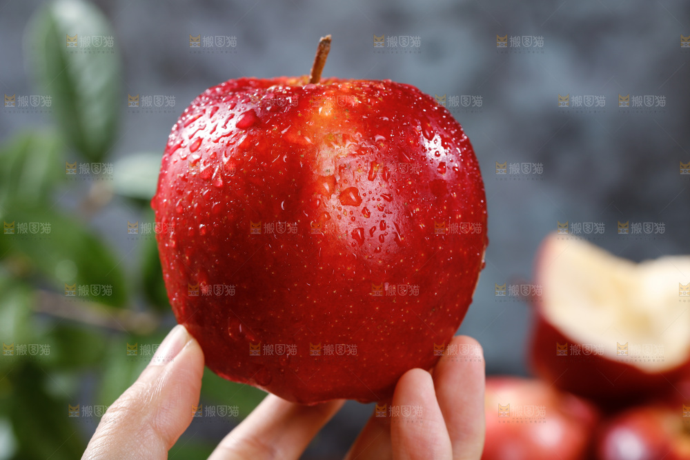 手上拿着单烁苹果