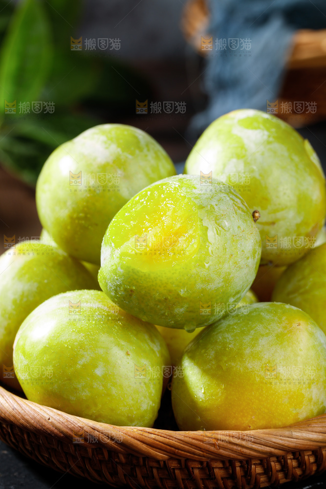 篮子里的恐龙蛋李