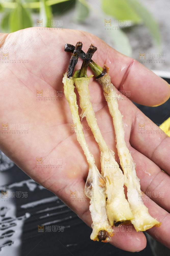 手上放着太婆梨果核