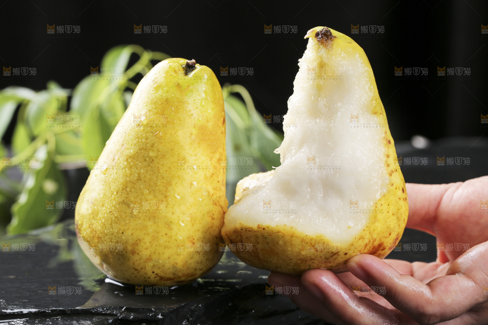 手上拿着太婆梨