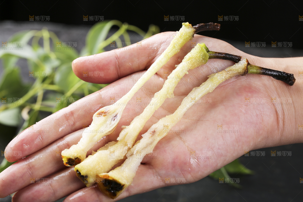 手上放着太婆梨果核