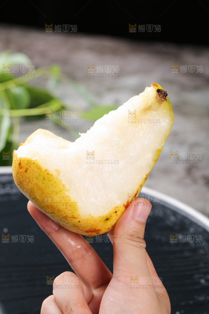 手上拿着山东太婆梨