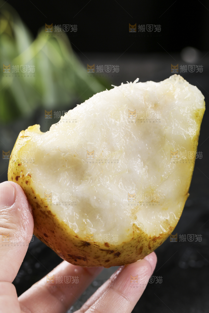 手上拿着山东太婆梨