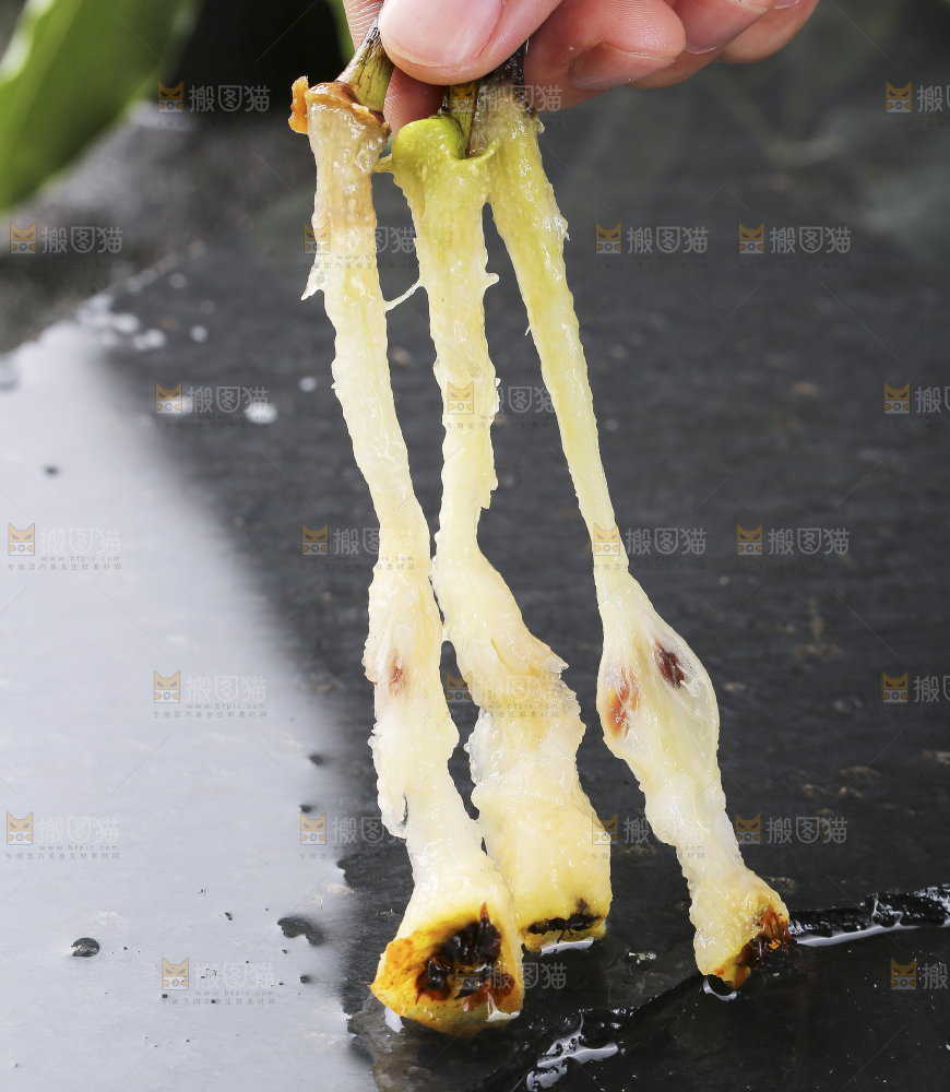 黑底上放着太婆梨果核