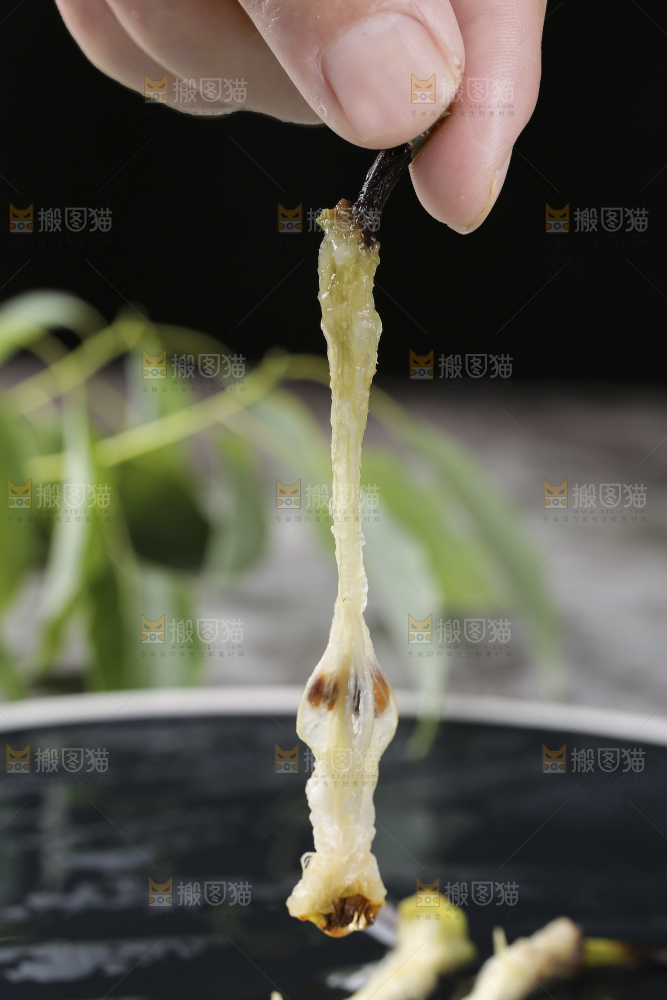 手上拿着太婆梨果核