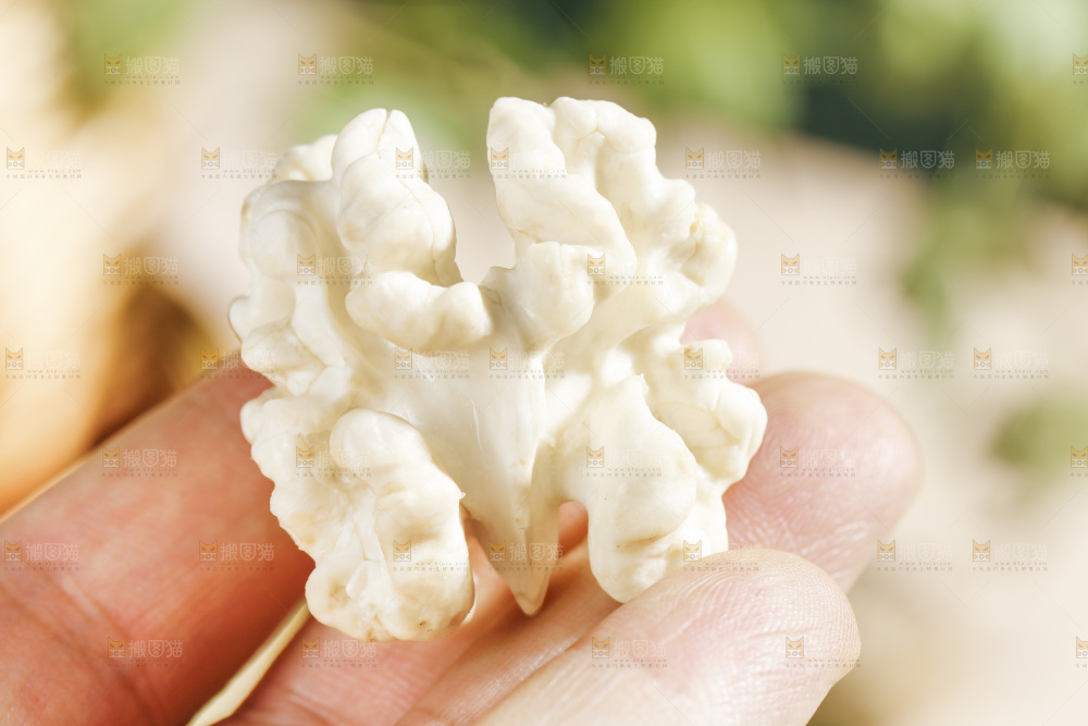 手里拿着嫩核桃仁